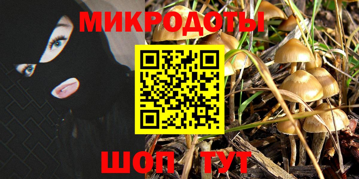Псилоцибиновые грибы мухоморы Краснодар